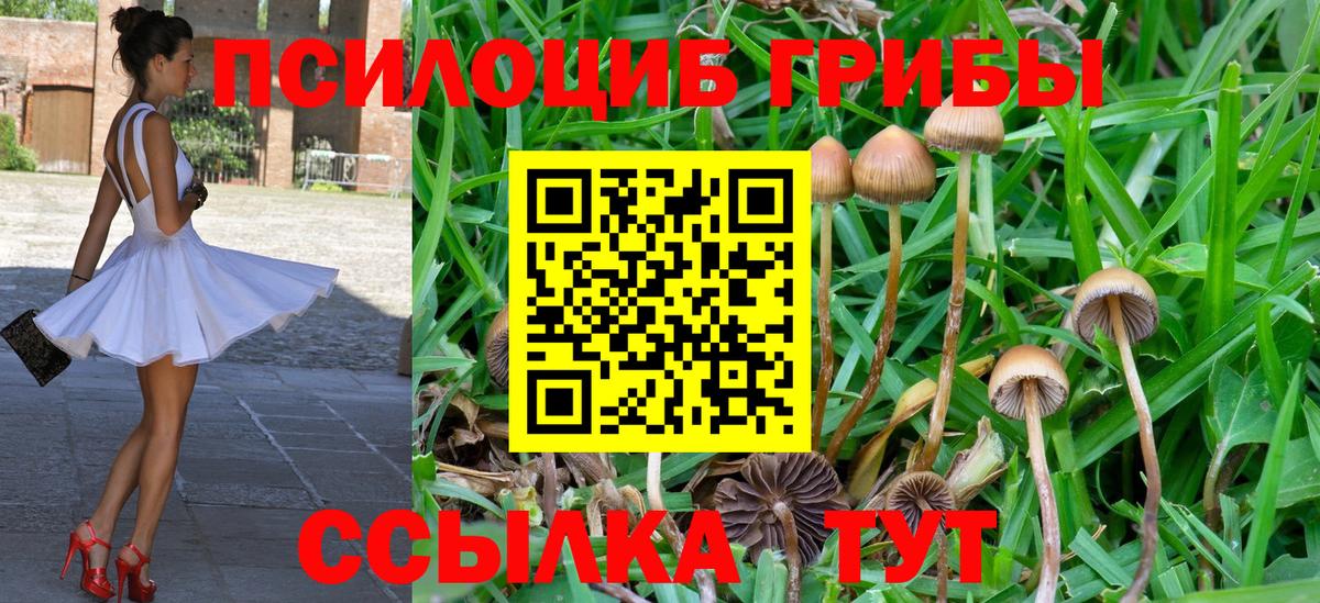 Галлюциногенные грибы мухоморы  Вход с VPN  Галлюциногенные грибы Psilocybine cubensis  Саяногорск 