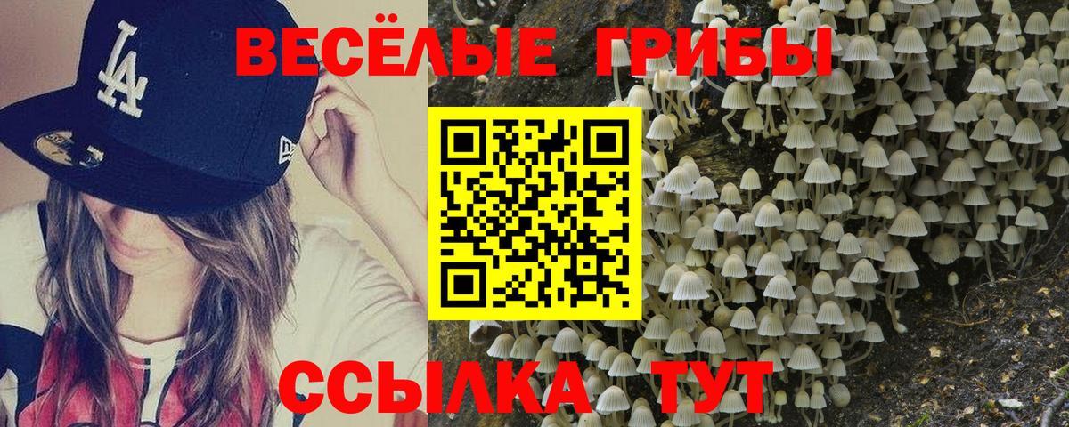 Псилоцибиновые грибы MAGIC MUSHROOMS Саяногорск